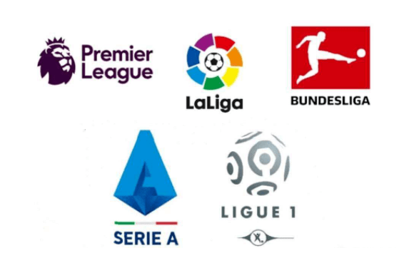 少年球员的 少年球员的